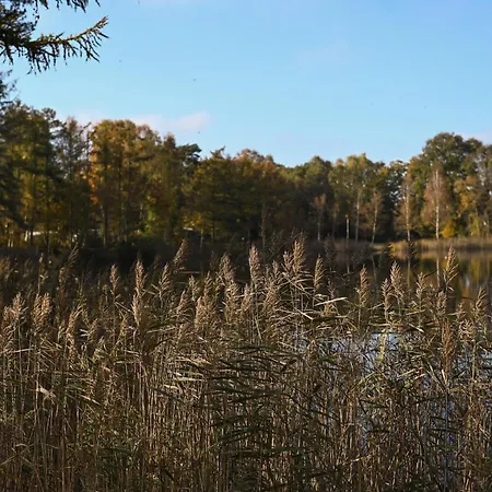 Tiny House Pioneer 5 - Tiny Spot Friesland * Шортенс