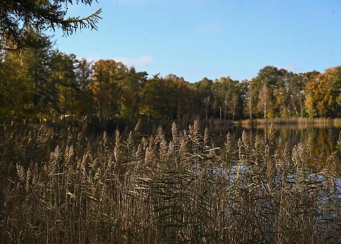 Tiny House Pioneer 5 - Tiny Spot Friesland * Schortens